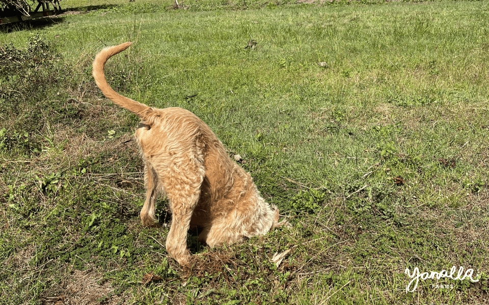 There's Some Holes In My Story