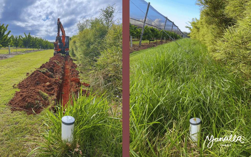 blog events farm updates holes 001