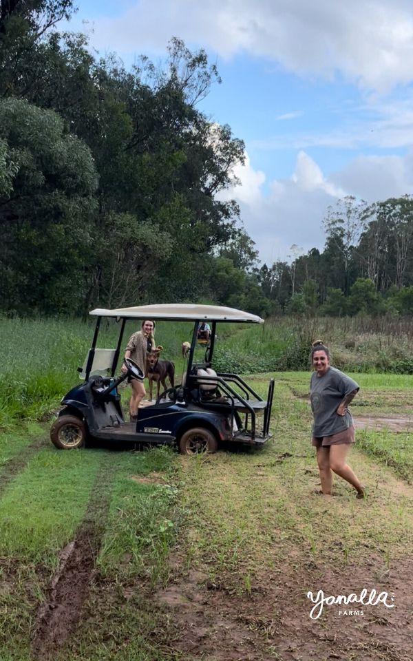 blog events farm updates rain bogged 002