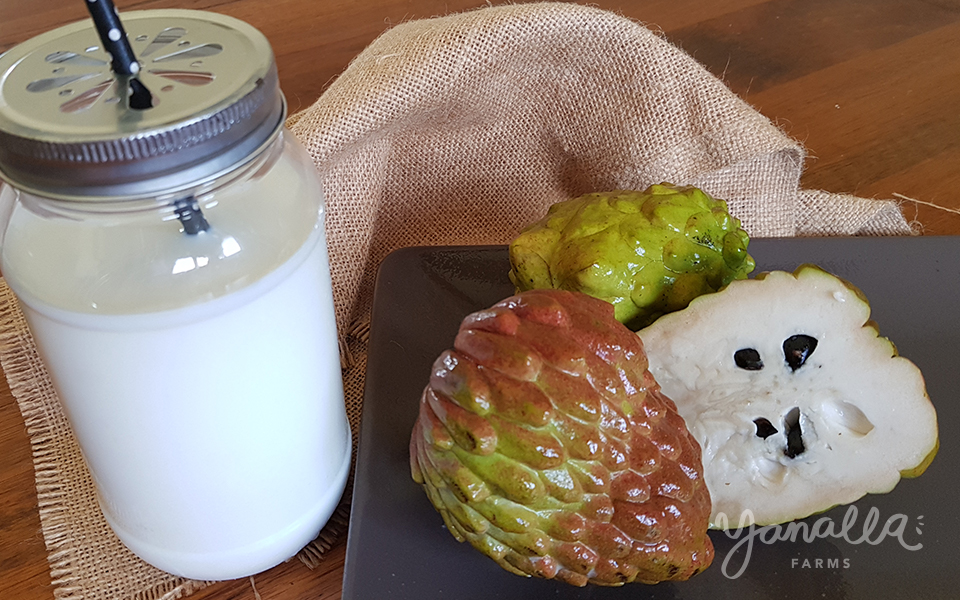 Yanalla Custard Dust® 002