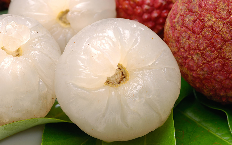 Lychee
