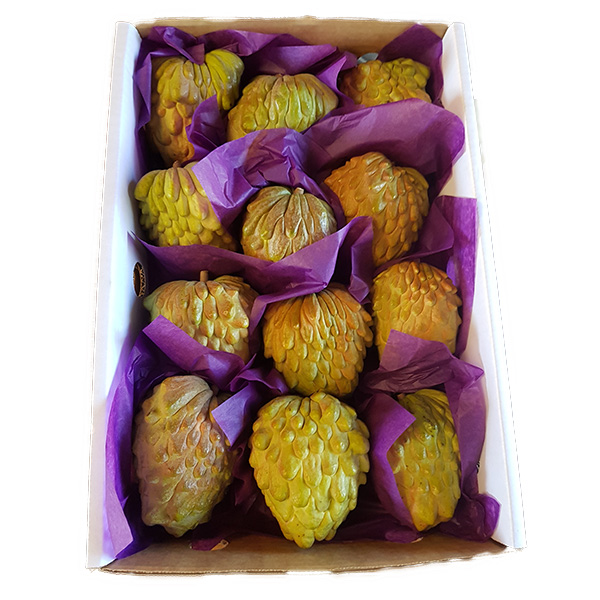 PinksBlush Custard Apple